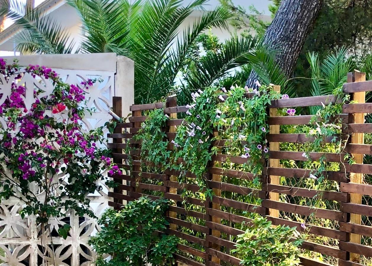 Villa Can Ordinas Alcudia  Exterior photo
